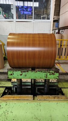 Kelas 50 HDP 0,60mm Walnut Cat Galvalume Steel Coil